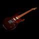 Godin Guitars Godin Session T-Pro Ltd Kanyon Burst MN - електрогітара , ассорти