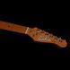 Godin Guitars Godin Session T-Pro Ltd Kanyon Burst MN - електрогітара , ассорти
