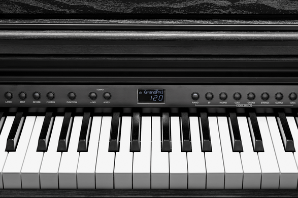 Kurzweil CUP E1 BK - Цифрове фортепіано, Черный