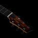 Godin Guitars Godin LGXT Cognac Burst Flame AA - електрогітара, Коричневий