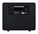 MOOER Hornet 15W Li (Black) - комбоусилитель, Черный