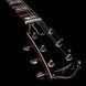 Godin Summit Classic HT Trans White - електрогітара, Білий