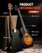 Donner Music DLP-124 Electric Guitar Sunburst EC1277, Коричневый