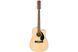 FENDER CD-60SCE Dreadnought 12-string WN Natural - Гитара электроакустическая 12-струнная, Натуральный