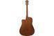 IBANEZ V40CE-OPN - Гітара електроакустична, Натуральний