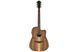 IBANEZ V40WSCE-OPB - Гітара електроакустична , Натуральний