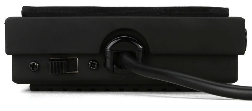M-AUDIO SP-1 - педаль сустейн универсальная, Черный