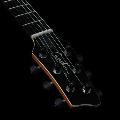 Godin Guitars Godin xtSA Trans Black - електрогітара, Черный