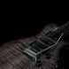 Godin Guitars Godin xtSA Trans Black - електрогітара, Черный