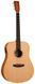 TANGLEWOOD TR5 E - Електроакустична гітара, Натуральний