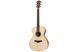 TAYLOR GUITARS ACADEMY 12E - Гитара электроакустическая