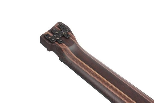 IBANEZ EHB1505S DEL - 5-струнна бас-гітара, Червоно-золотий