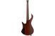 IBANEZ EHB1505S DEL - 5-струнна бас-гітара, Червоно-золотий