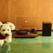 Gadhouse Henry (Mahogany) - Виниловый проигрыватель в комплекте с акустическими системами, Коричневый