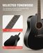 Donner Music Acoustic Guitar Cutaway Black EC1129, Черный