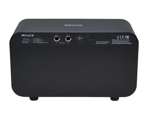 MOOER F15i Li (Phantom Black) - комбоусилитель, Черный