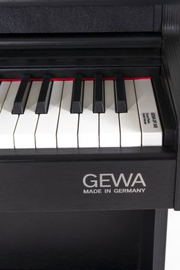 Gewa DP 345 Black, Черный