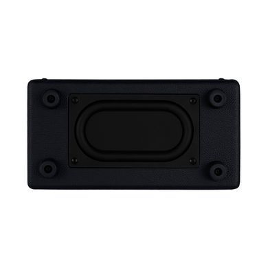 MOOER SD10i (Black) - комбоусилитель, Черный