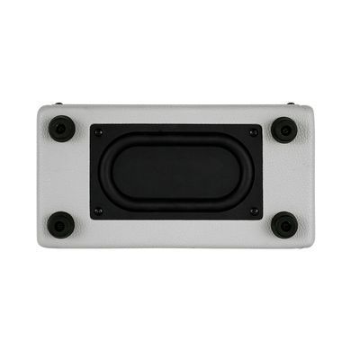 MOOER SD10i (Gray) - комбоусилитель, серый