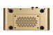 MOOER F15i Li (Imperial Gold) - комбоусилитель, Золотой