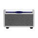 MOOER SD10i (Gray) - комбоусилитель, серый
