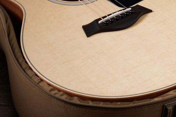 TAYLOR GUITARS GS MINI SAPELE - Гітара акустична , Натуральний